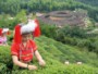 Área de la cultivación de té en China